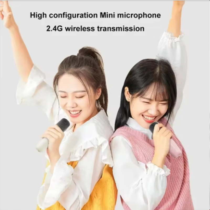 K12 Karaoke Machine Portable B - Shure Mic Sm58 评论和价格